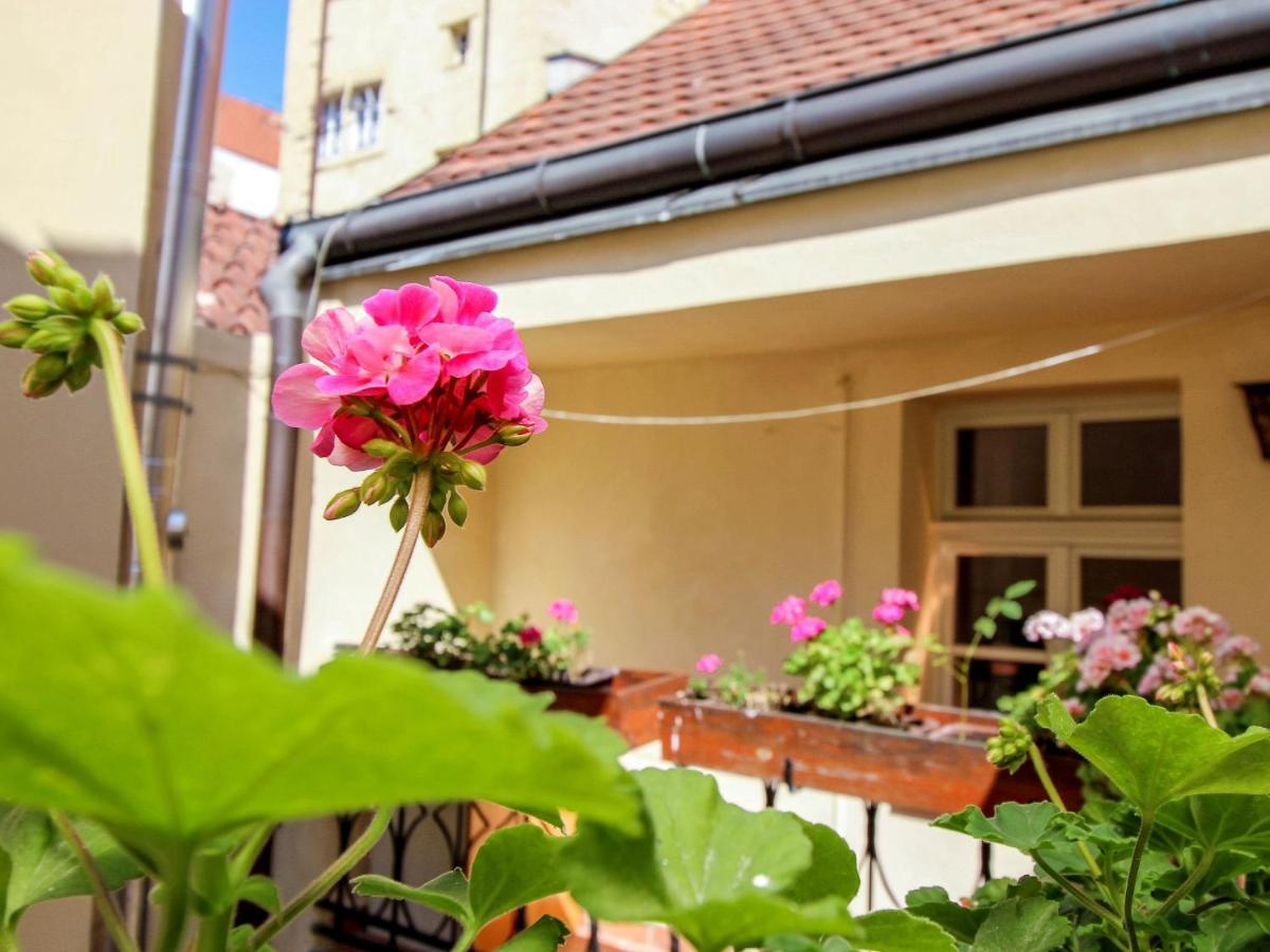 Apartment Nerudova By Interhome Prag Eksteriør billede