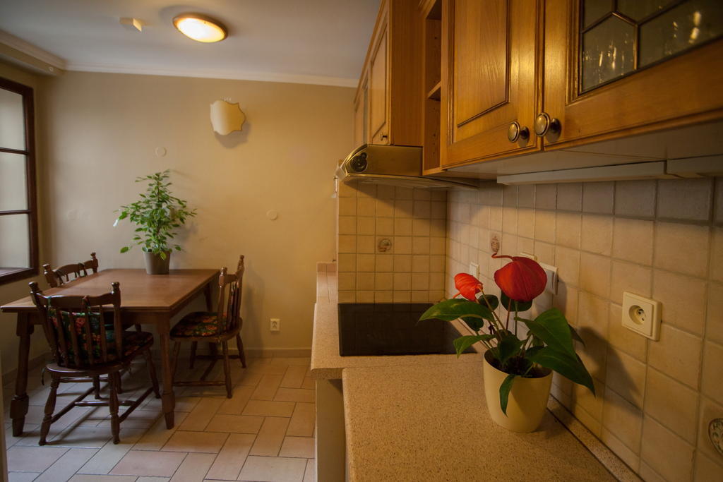Apartment Nerudova By Interhome Prag Værelse billede